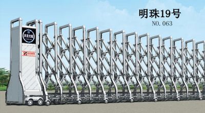 NO.063  明珠19号
