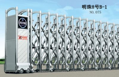 NO.075  明珠8号B-1