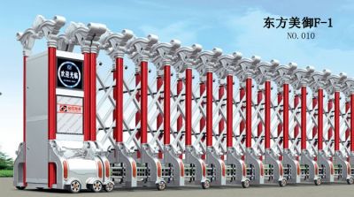 NO.010东方美御F-1专利产品