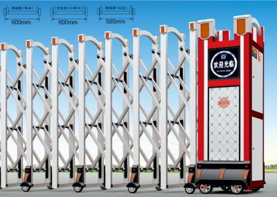 亮丽B-1